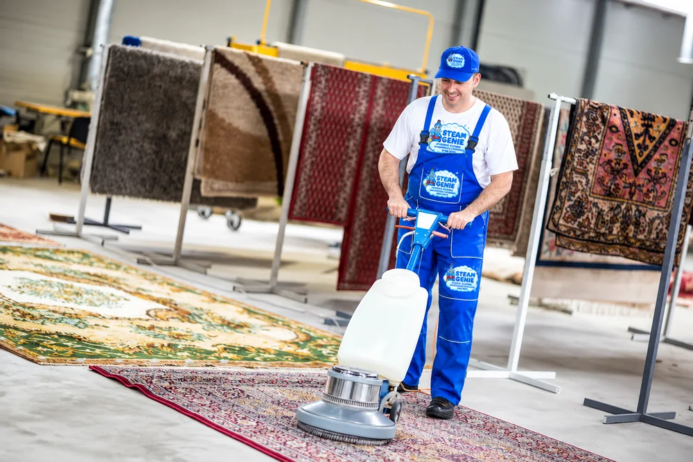 Steam Genie technician cleaning an area rug